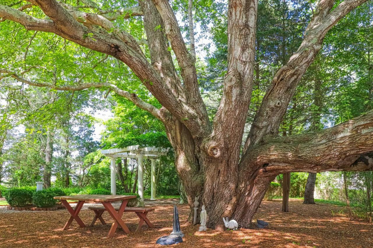 Lily Hill Villa Vineyard Haven Buitenkant foto